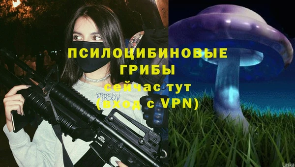 шишки Армянск