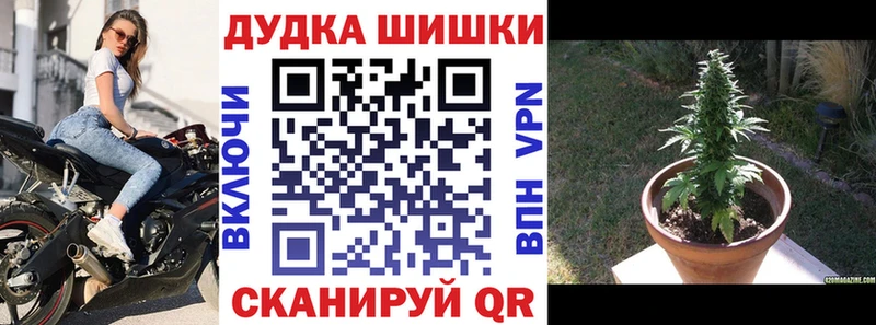 Бошки марихуана сатива  Староминская 